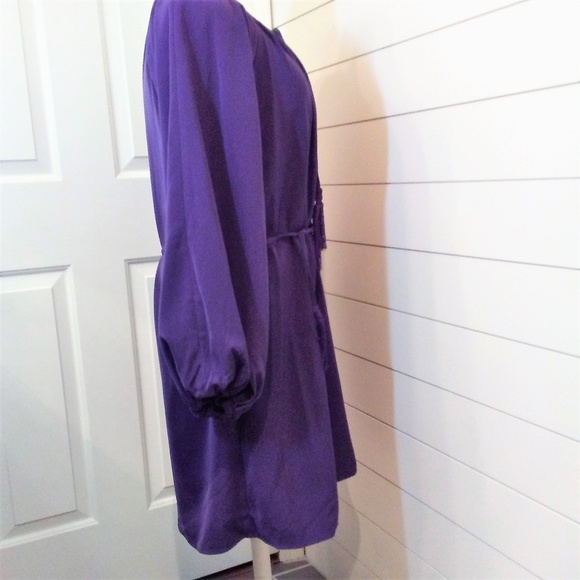 Diane Gilman Tunic Style Dress Purple Size M NWT - Picture 5 of 8